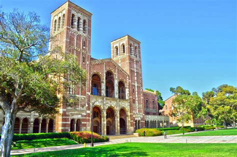 ucla niche